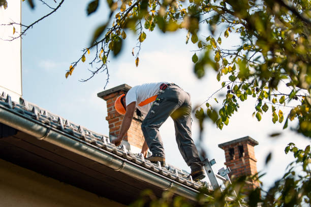 Roof Gutter Cleaning in Gloster, MS